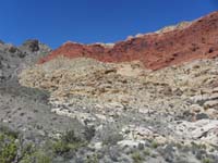 37-top_of_5-stop_hill-looking_back_to_what_we_hiked-Gray_Cap_near_upper_right