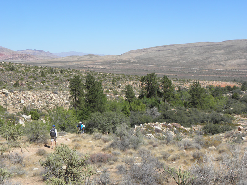 39-group_walking_along_First_Creek_drainage