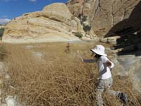 28-Bella_and_Kenny_frolicking_in_dry_tank
