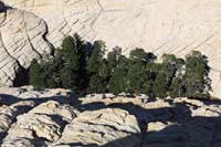 53-looking_down_to_pocket_of_forested_area_we_have_passed_and_will_again