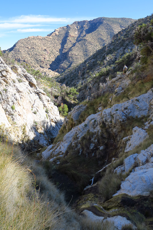 68-amazing_wetland_scenery_with_waterfalls-down_canyon