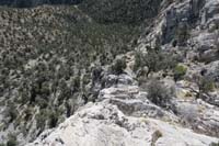 51-checked_out_a_descent_route_for_cliff,but_no_go-bush_wacked_way_to_right_then_down