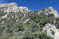 52-looking_back_to_Snoopy's_Nose_to_right-lots_of_brush_and_tough_steep_terrain