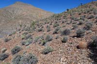 31-the_entire_slope_consists_of_rock_layers_that_appear_to_have_been_shaved_off
