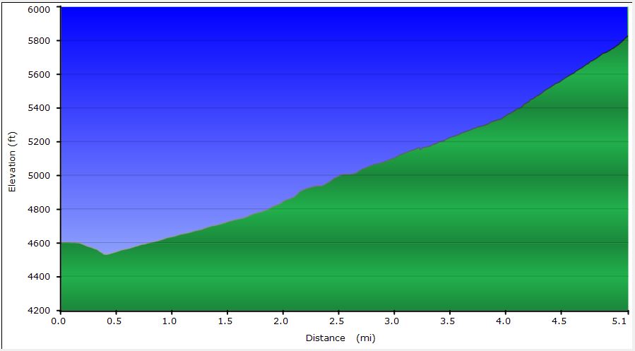 56-dirt_road_profile