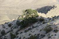 18-scenic_view_from_peak-looking_E-heading_to_lonely_pinyon_next