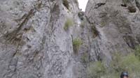 53-rappel-bee_hive_to_upper_right