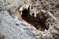 54-zoom_view_of_bee_hive_very_close_to_rappel-good_thing_we_didn't_upset_bees,no_activity_visible