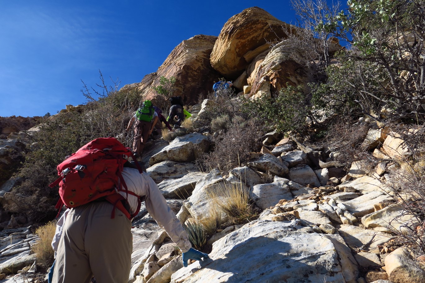 14-group_scrambling
