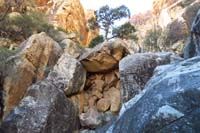 40-looking_back,amazing_how_the_rocks_found_a_place_to_rest