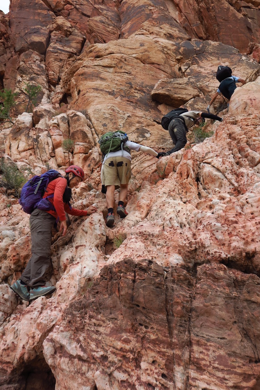 04-Richard,Ed,Steve,Luba_scrambling