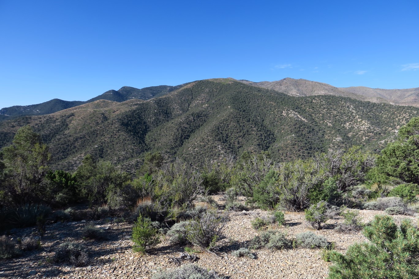 20-scenic_view_from_summit-looking_SSW-Windy_Peak