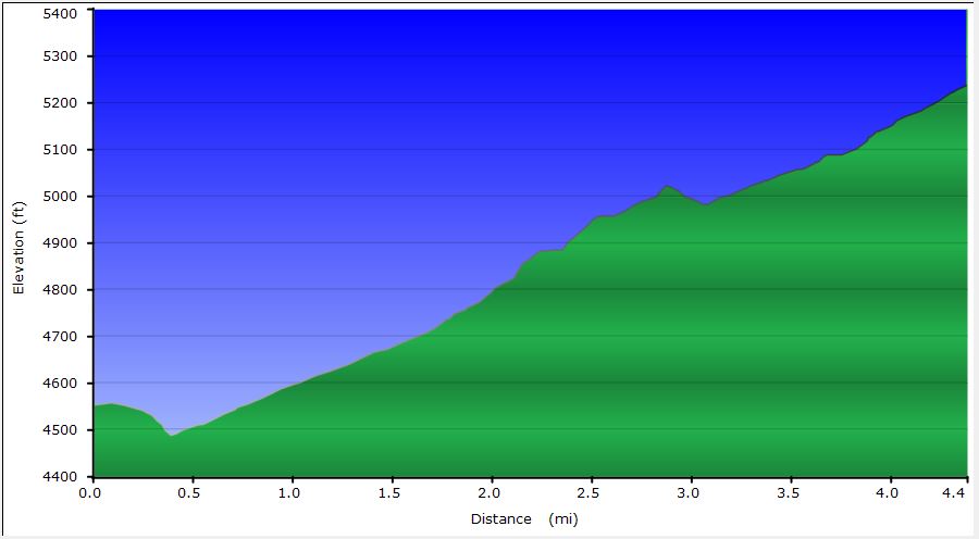 36-dirt_road_profile