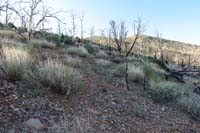 10-heading_up_steep_slope