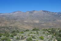 19-scenic_view_from_summit-looking_WNW-zoom_view_of_Griffith_Peak_and_Harris_Peak