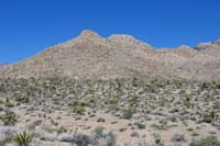 12-Lollipop_Peak_to_left_of_Gottlieb_and_Orca_Peaks