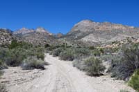 19-continuing_up_dirt_road_with_La_Madre_Mountains_in_distance