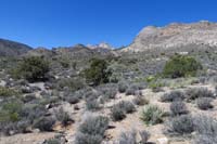 25-pretty_scenery_to_the_west