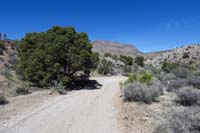40-continuing_north_along_dirt_road