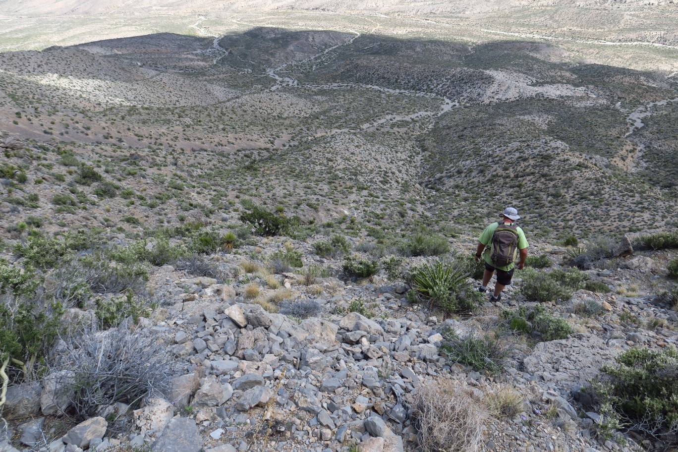 51-Joel_descending