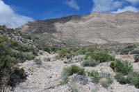 07-pretty_desert_scenery-goal_is_to_reach_lonely_pinyon_in_middle,then_around