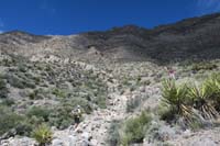 08-heading_up_drainage_to_lonely_pinyon_in_the_middle