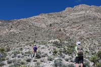 10-getting_closer_to_the_lonely_pinyon