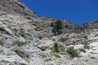 13-going_up_to_right_of_pinyon,then_left