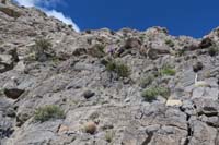 14-heading_up-Laszlo_leading_the_way