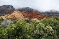 31-pretty_scenery_along_hike_up_wash