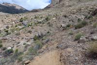 009-trail_abruptly_ends-later_becomes_Secret_Menu_when_finished