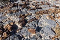 50-fossilized_coral_mixed_in_with_the_limestone