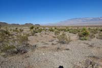 72-treking_through_the_open_desert_back_to_our_vehicle