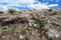 59-obstacles_on_trail_for_mountain_bikers_to_enjoy,fossilized_corral_on_the_rocks