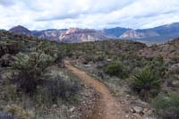 79-continuing_along_the_trail_enjoying_pretty_scenery