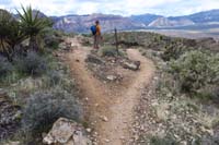 83-Fossil_Cyn-Cat_in_the_Hat_Connect_E,went_left,should_have_gone_right