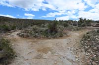 86-Bunny-Cat_in_the_Hat_JCT,we_came_from_right,Bunny_trail_continues_left_to_Fossil_Canyon_trail