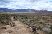 89-final_push_back_to_cars,lots_of_people_hiking_only_open_area_since_scenic_loop_closed_due_to_COVID_lockdowns