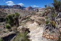 39-challenging_portion_of_the_trail_for_mountain_bikes