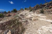 54-interesting_mountain_bike_terrain,several_areas_like_this_along_the_trail