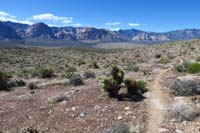 58-scenic_view_on_First_Finger_eastern_loop