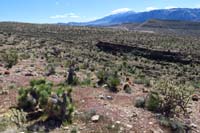 61-view_of_Fossil_Canyon_and_trail_from_near_First_Finger_loop_apex