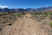 62-scenic_view_along_Cat_in_the_Hat_Trail