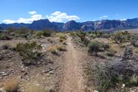 64-scenic_view_along_Cat_in_the_Hat_Trail