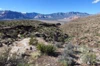 68-previously_turned_R_to_enter_Fossil_Canyon_Trail-should_have_remained_on_Cat_in_the_Hat_Trail