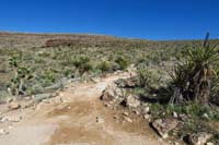 70-Bunny-Cat_in_the_Hat_JCT-looking_towards_Fossil_Canyon