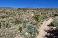 71-scenic_view_along_Bunny_Trail_heading_back_to_Fossil_Canyon