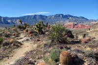 74-scenic_view_along_Rock_Garden_Trail