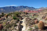 76-scenic_view_along_Rock_Garden_Trail