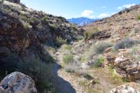 137-more_vegetation_in_the_canyon_than_typical_for_area